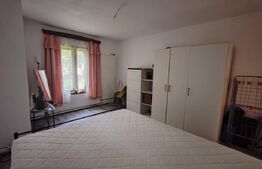 Apartament de vanzare, cu 2 camere, 45 mp, zona Balcescu