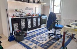 Apartament cu 2 camere, 52 mp, zona Lipovei, Timisoara