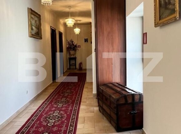Casa de vânzare 10 camere Balcescu - 182481CV | BLITZ Timișoara | Poza5