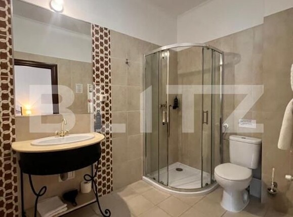 Casa de vânzare 10 camere Balcescu - 182481CV | BLITZ Timișoara | Poza8