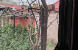 Casa,6 camere ,curte comuna in zona buna