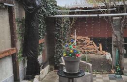 Casa,6 camere ,curte comuna in zona buna