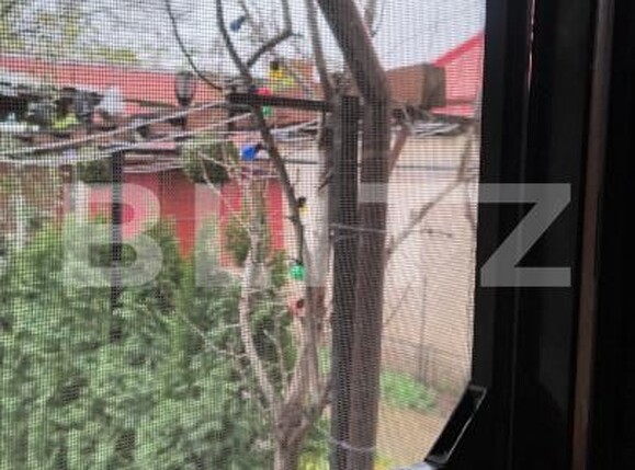 Casa de vânzare 7 camere Balcescu - 182488CV | BLITZ Timișoara | Poza14