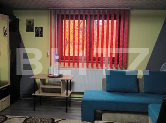 Casa de vânzare 7 camere Balcescu - 182488CV | BLITZ Timișoara | Poza20