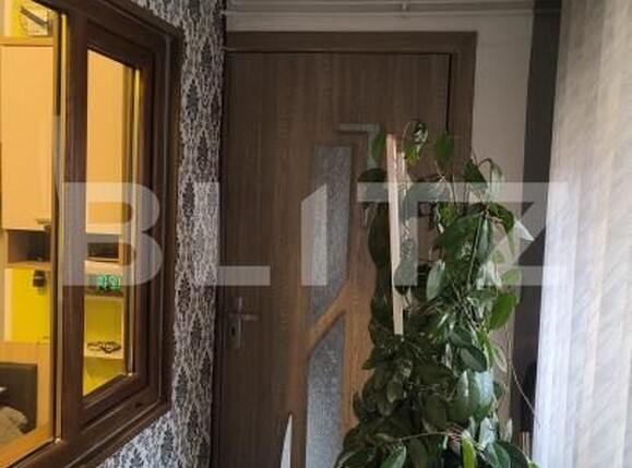 Casa de vânzare 7 camere Balcescu - 182488CV | BLITZ Timișoara | Poza18