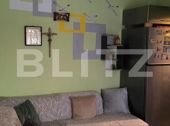 Casa de vânzare 7 camere Balcescu - 182488CV | BLITZ Timișoara | Poza4