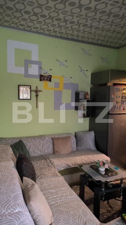 Casa de vânzare 7 camere Balcescu - 182488CV | BLITZ Timișoara | Poza4