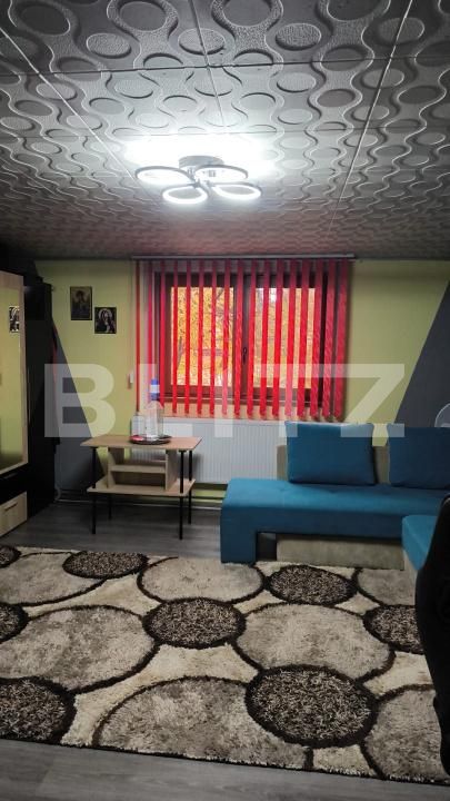 Casa de vânzare 7 camere Balcescu - 182488CV | BLITZ Timișoara | Poza20