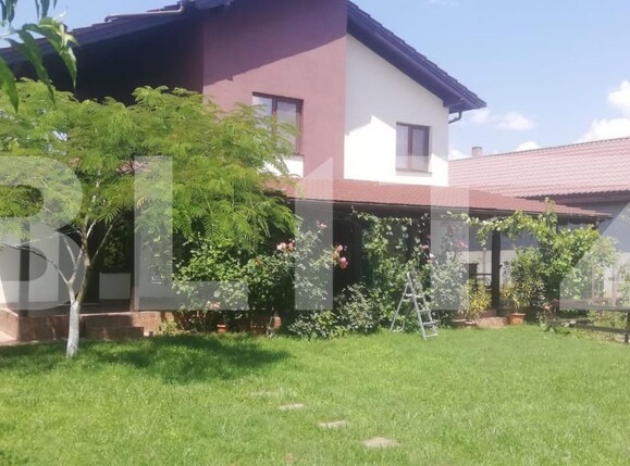 Casa de vânzare 6 camere Sag - 182540CV | BLITZ Timișoara | Poza4