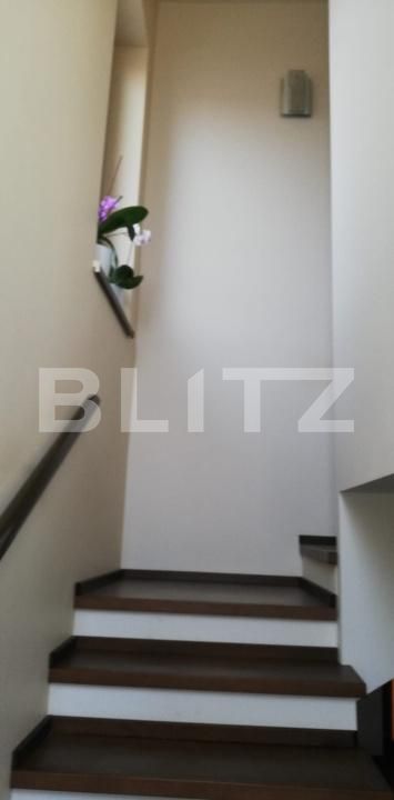 Casa de vânzare 6 camere Sag - 182540CV | BLITZ Timișoara | Poza11