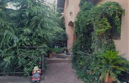 Casa individuala de vanzare Utvin 720mp teren hala de depozitare si 2 garaje