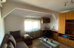 Apartament de vânzare 2 camere Aradului, Timișoara