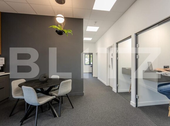 Spațiu birouri de închiriat P-ta Victoriei - 182661SIB | BLITZ Timișoara | Poza13