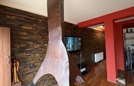 Apartament 3 camere, 102 mp, zona Bogdăneștilor  