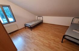 Vila mare, curte, 11 camere, 5 bai, mobilata, Cetatii/Timisoara