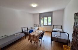 Vila mare, curte, 11 camere, 5 bai, mobilata, Cetatii/Timisoara