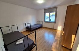 Vila mare, curte, 11 camere, 5 bai, mobilata, Cetatii/Timisoara