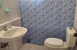 Vila mare, curte, 11 camere, 5 bai, mobilata, Cetatii/Timisoara