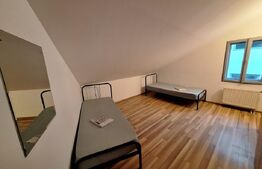 Vila mare, curte, 11 camere, 5 bai, mobilata, Cetatii/Timisoara