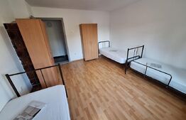 Vila mare, curte, 11 camere, 5 bai, mobilata, Cetatii/Timisoara