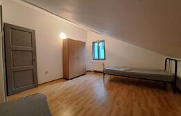 Vila mare, curte, 11 camere, 5 bai, mobilata, Cetatii/Timisoara