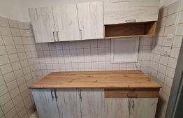 Vila mare, muncitori, 11-16 camere, 5-10  bai, mobilata, Timisoara