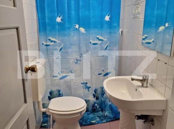 Casa de închiriat 12 camere Bucovina - 182692CI | BLITZ Timișoara | Poza3