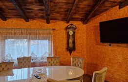 Vanzare Casa / Vila