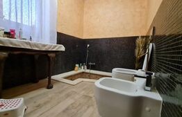 Vanzare Casa / Vila
