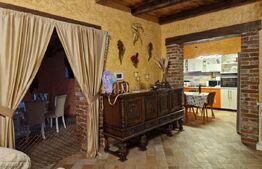Vanzare Casa / Vila