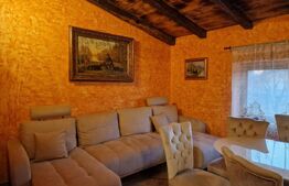 Vanzare Casa / Vila