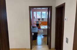 Apartament 3 camere, 80 mp + anexa P+1 40 mp, zona Lunei