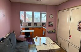 Apartament 3 camere, 80 mp + anexa P+1 40 mp, zona Lunei