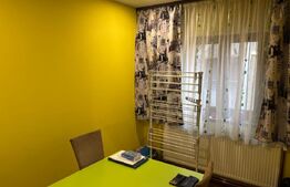 Apartament 3 camere, 80 mp + anexa P+1 40 mp, zona Lunei