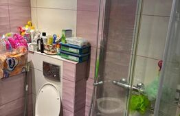 Apartament 3 camere, 80 mp + anexa P+1 40 mp, zona Lunei