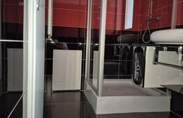 Casa de vanzare Dumbravita 145mp utili