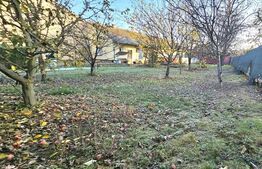 Teren Intravilan + Casa, 2 fronturi, Calea Bogdanesti