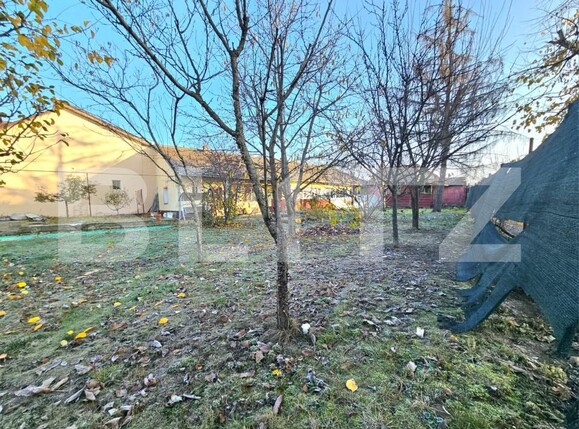 Teren de vânzare Bogdanestilor - 182851TV | BLITZ Timișoara | Poza1