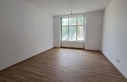 Spatiu comercial 8 camere, 160 mp, zona Iosefin