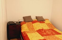 Apartament 2 camere, 40 mp, zona Dambovita