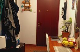 Apartament 2 camere, 40 mp, zona Dambovita