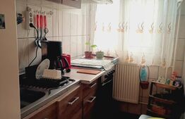 Apartament 2 camere, 40 mp, zona Dambovita