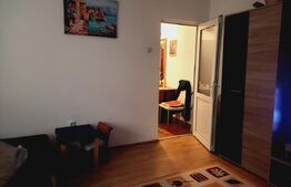 Apartament 2 camere, 40 mp, zona Dambovita