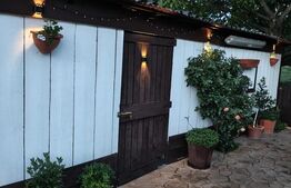 Casa de vanzare Dumbravita 