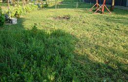 Casa de vanzare Dumbravita 