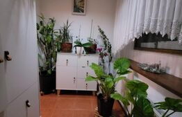 Casa de vanzare Dumbravita 