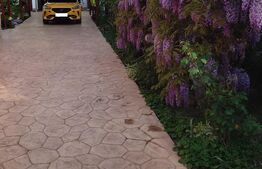 Casa de vanzare Dumbravita 