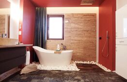 EXCLUSIVITATE ,  Casa 200 mp, teren 700 mp, vatra veche Remetea Mare