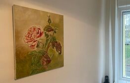 Cabinet Medical Ginecologie, 70 mp, centrul Complexului Studențesc