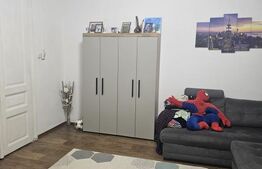 Casă individuala, 160 mp utili, teren 530 mp – Lipovei